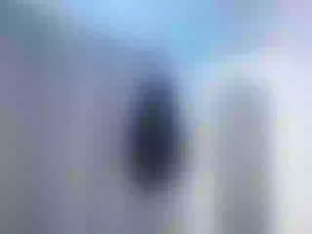 Live sex webcam photo for lailaatyler #292270352