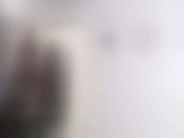 Live sex webcam photo for lailaatyler #292585445