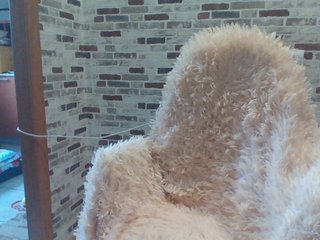 Live sex webcam photo for lanalanina #205734722