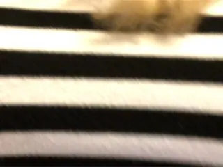 Live sex webcam photo for lanalevi #173792045