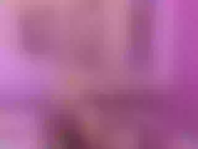 Live sex webcam photo for laney-v1l #278039577