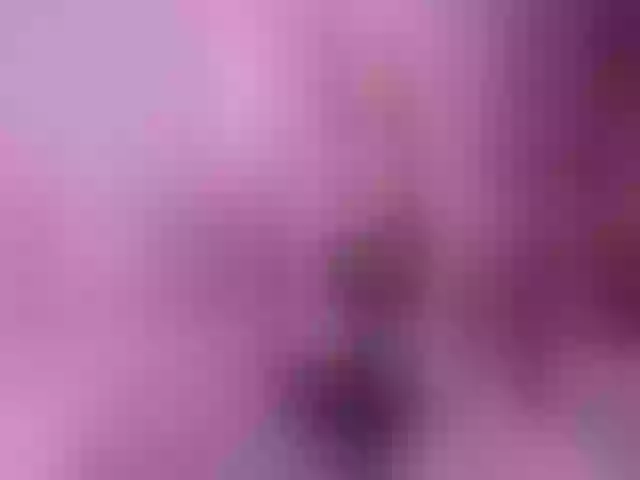 Live sex webcam photo for laney-v1l #290529731