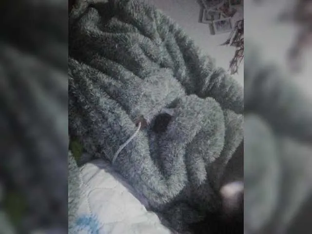 Live sex webcam photo for latinaamorosa #273631061