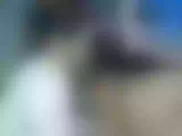 Live sex webcam photo for latinaculorico #277447189