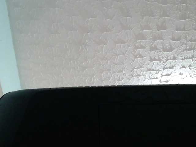 Live sex webcam photo for latinakitten- #272625711