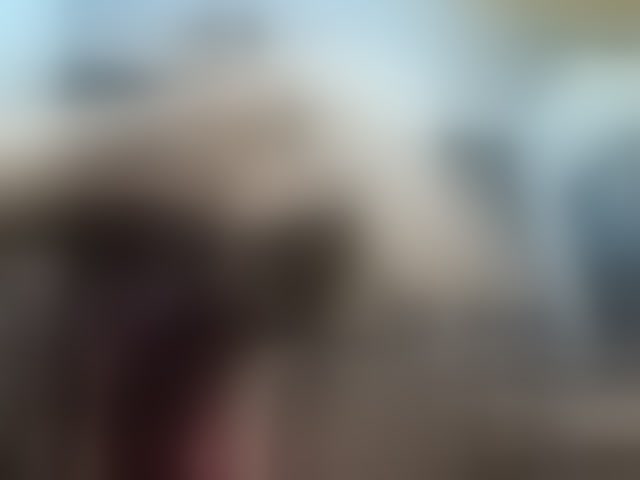 Live sex webcam photo for laurabigcock #294056858