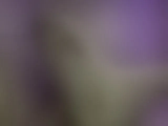 Live sex webcam photo for lauramarti #293378078