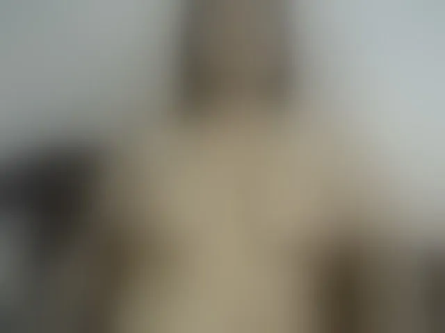 Live sex webcam photo for laurenchubby #291402153