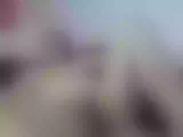 Live sex webcam photo for laurenchubby #291531573