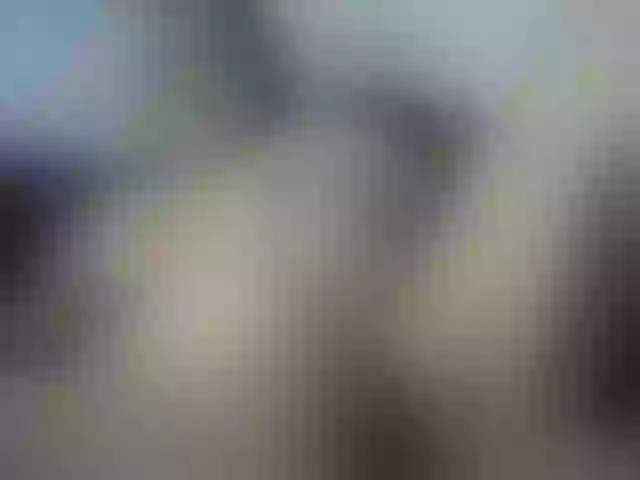 Live sex webcam photo for laurenchubby #291534617