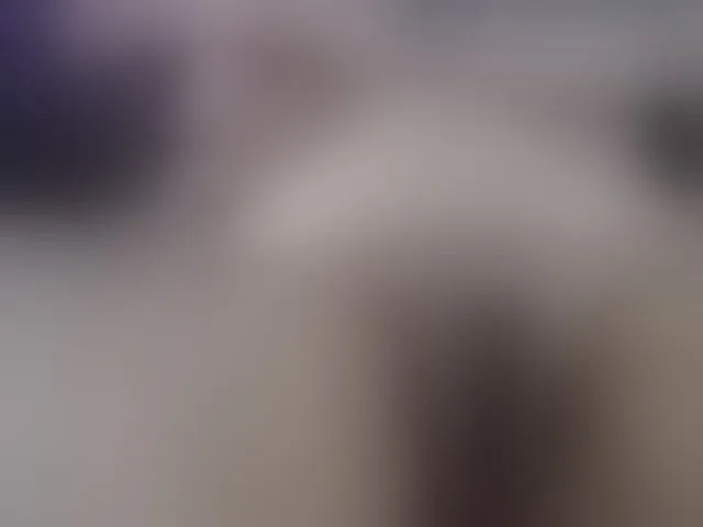 Live sex webcam photo for laurenchubby