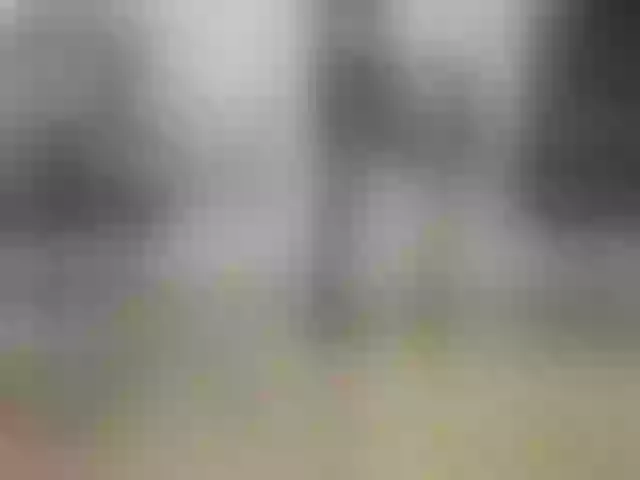 Live sex webcam photo for legsoffice #291919761
