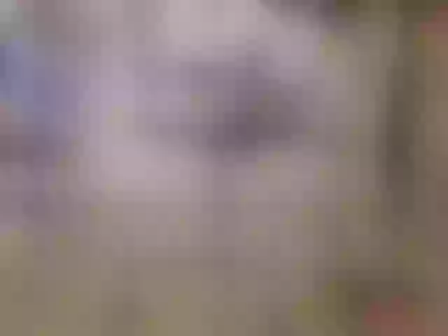 Live sex webcam photo for legsoffice #291933748