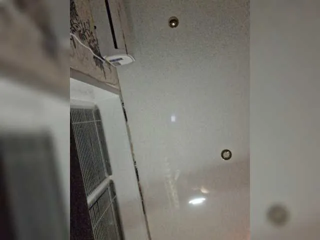 Live sex webcam photo for leila17 #275744759