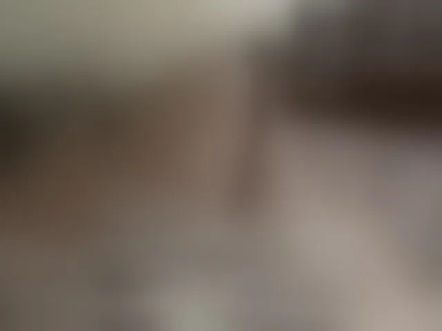 Live sex webcam photo for leila17 #292931706