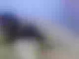 Live sex webcam photo for leilamendez #156746338