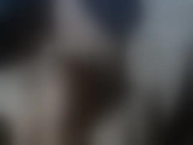 Live sex webcam photo for lenaboy #274286416