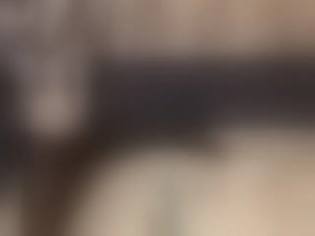 Live sex webcam photo for lenaboy #276819095
