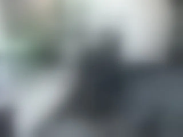 Live sex webcam photo for lenaboy #293207481