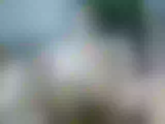Live sex webcam photo for leo2008842 #273261341