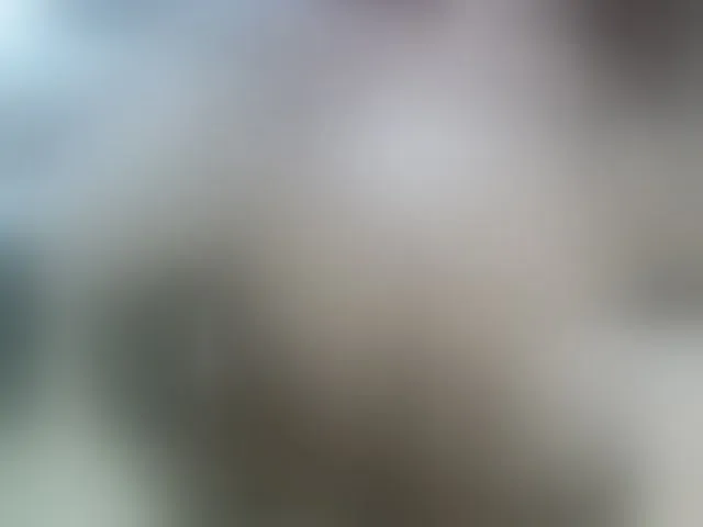 Live sex webcam photo for leo2008842 #275543797