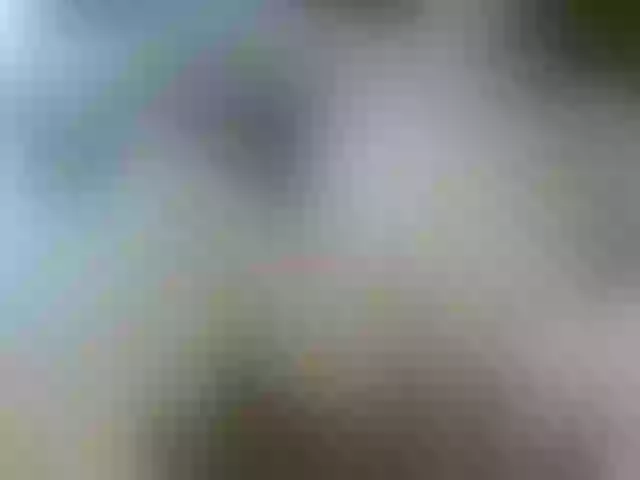 Live sex webcam photo for leo2008842 #275552161