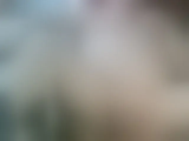 Live sex webcam photo for leo2008842 #275887661