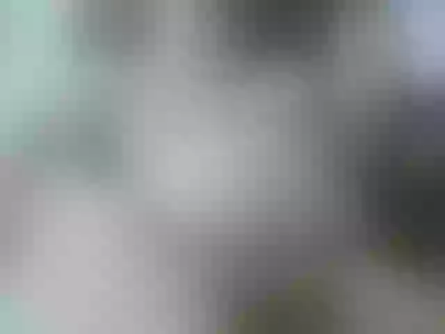 Live sex webcam photo for leo2008842 #276138311
