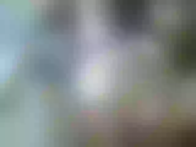 Live sex webcam photo for leo2008842 #276514984