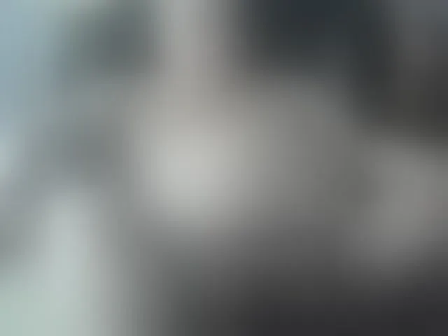 Live sex webcam photo for leo2008842 #276549787