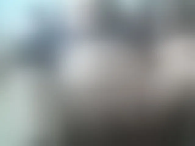Live sex webcam photo for leo2008842 #276795036