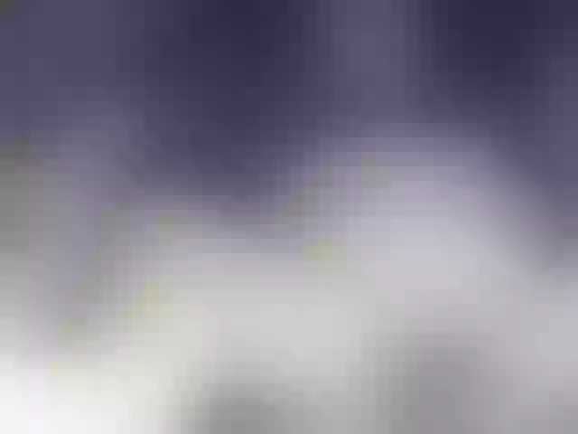 Live sex webcam photo for leo2008842 #276894199