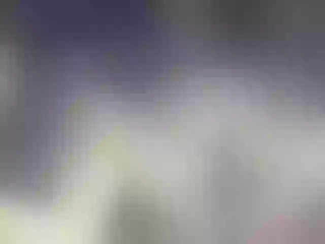 Live sex webcam photo for leo2008842 #277305975