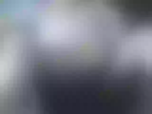 Live sex webcam photo for leo2008842 #288906452
