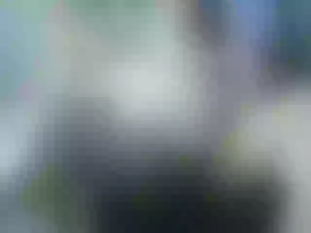 Live sex webcam photo for leo2008842 #290393723