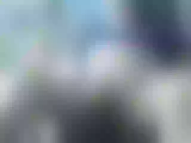 Live sex webcam photo for leo2008842 #290480547
