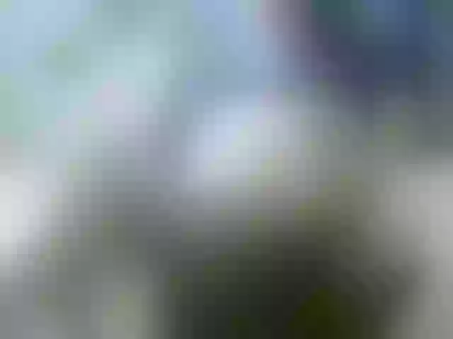 Live sex webcam photo for leo2008842 #290487869