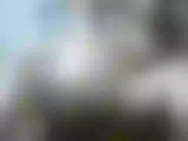 Live sex webcam photo for leo2008842 #290595353