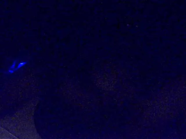 Live sex webcam photo for leo2008842 #291226684