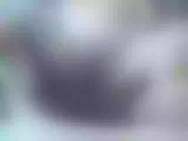 Live sex webcam photo for leo2008842 #291371181