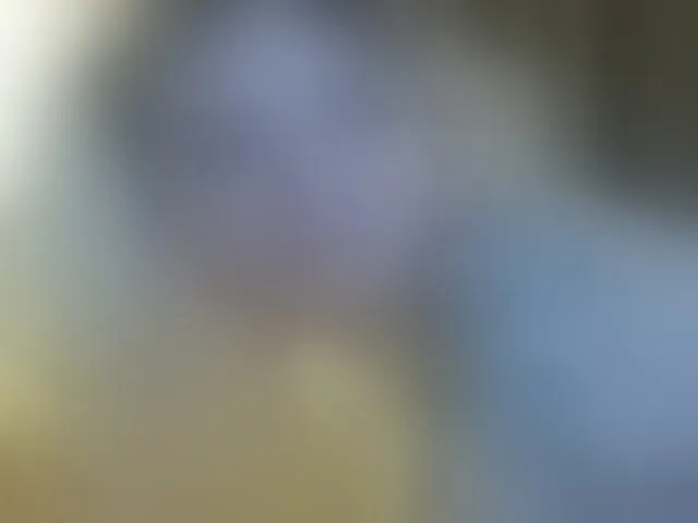 Live sex webcam photo for lesyalis #293295474