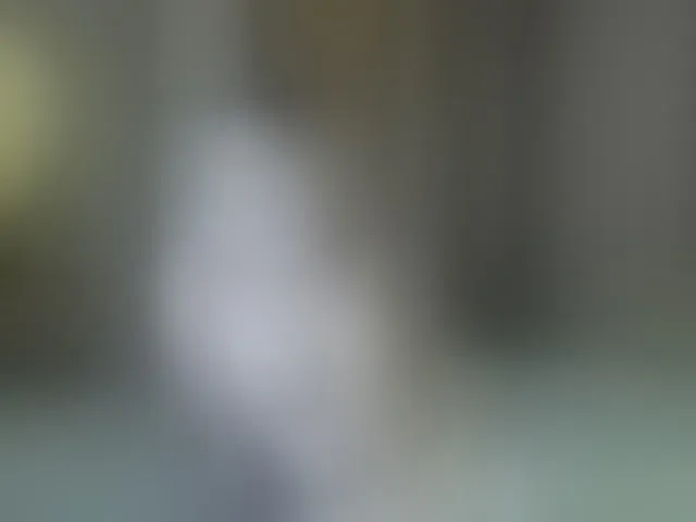 Live sex webcam photo for lesyalis #293526954
