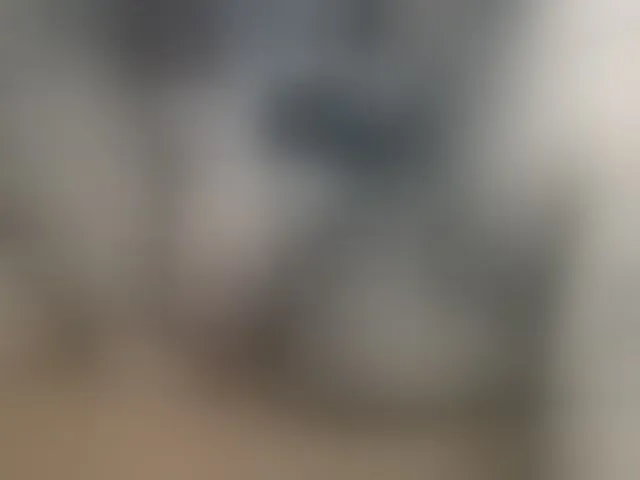 Live sex webcam photo for lexianna818 #293886934