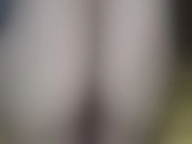 Live sex webcam photo for lexianna818 #294194882