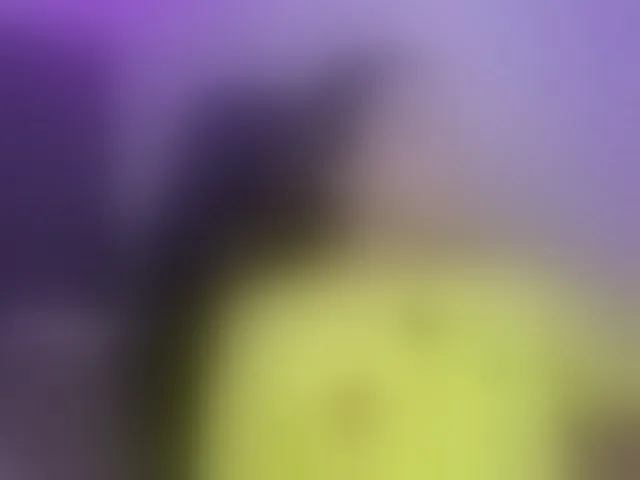 Live sex webcam photo for lexiiegray2 #293813036