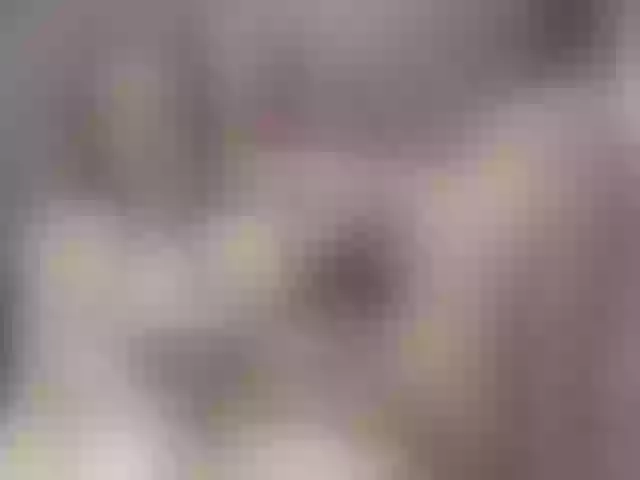 Live sex webcam photo for lexxia #291600520