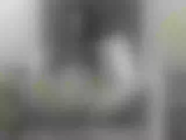 Live sex webcam photo for lexybooty #272840123