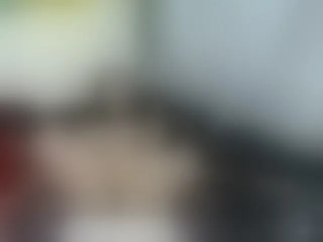 Live sex webcam photo for leyla-hot #293401906