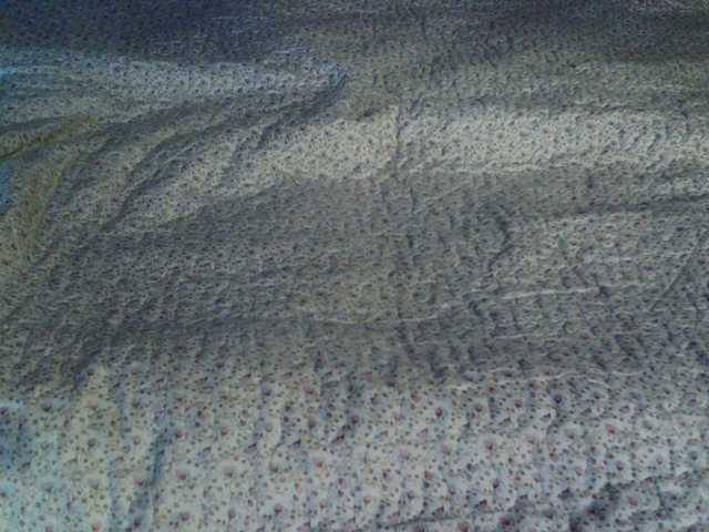 Live sex webcam photo for liZAAAZ #272125184