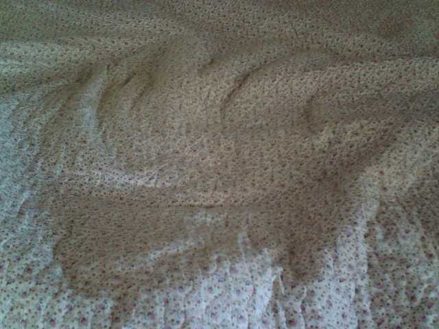 Live sex webcam photo for liZAAAZ #273482309